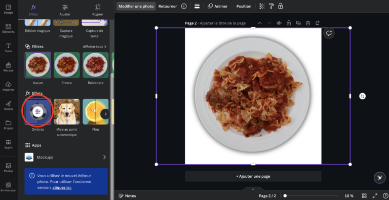explication retirer un arrière plan d'une image avec l'outil Canva partie 3